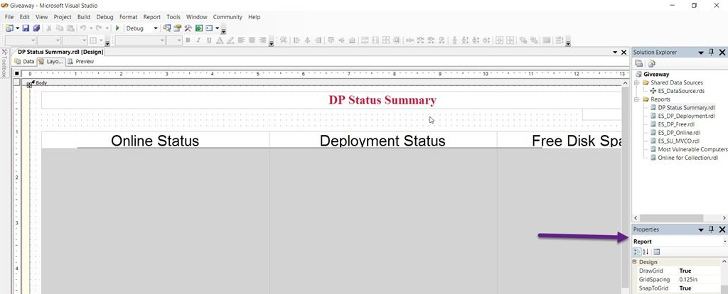 Visual Studio Report Designer, Reporting