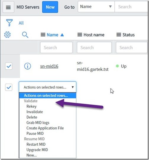 ServiceNow MID Server - Validate