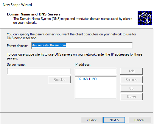 Domain Name and DNS Server