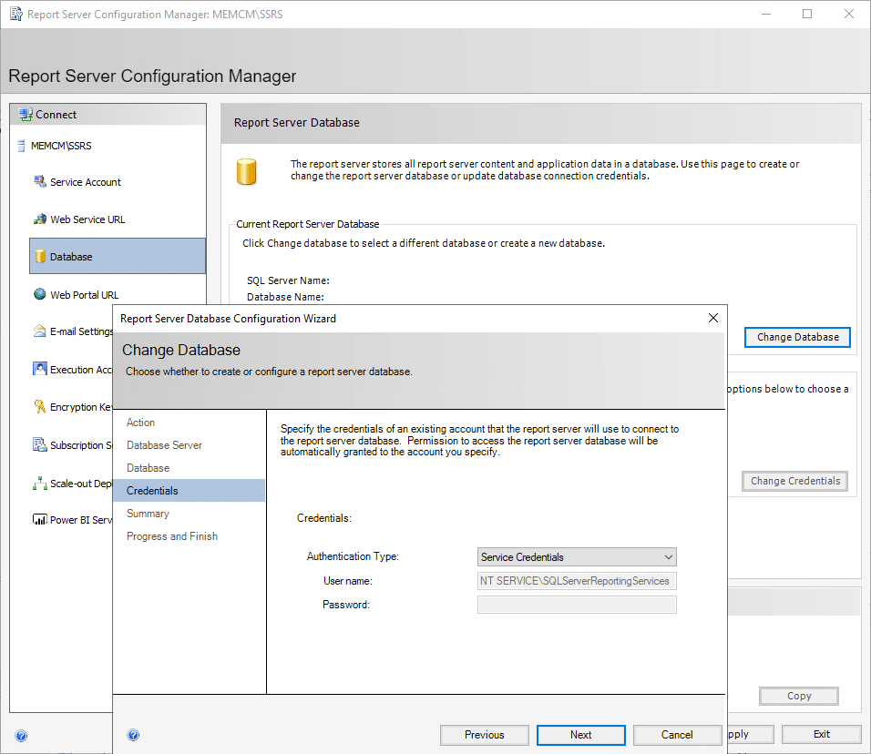 Report Server Configuration Manager Database