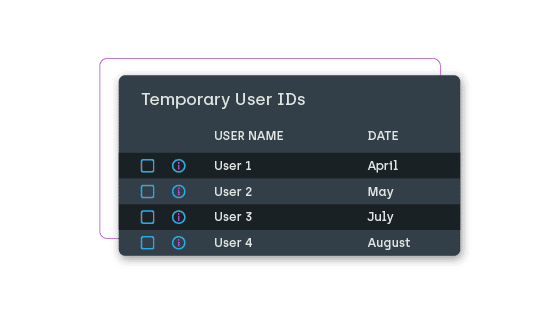 Temporary User IDs report visual that is found within Privilege Manager. 