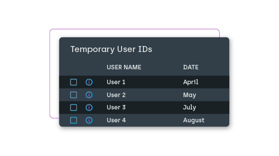 Temporary User IDs report visual that is found within Privilege Manager.