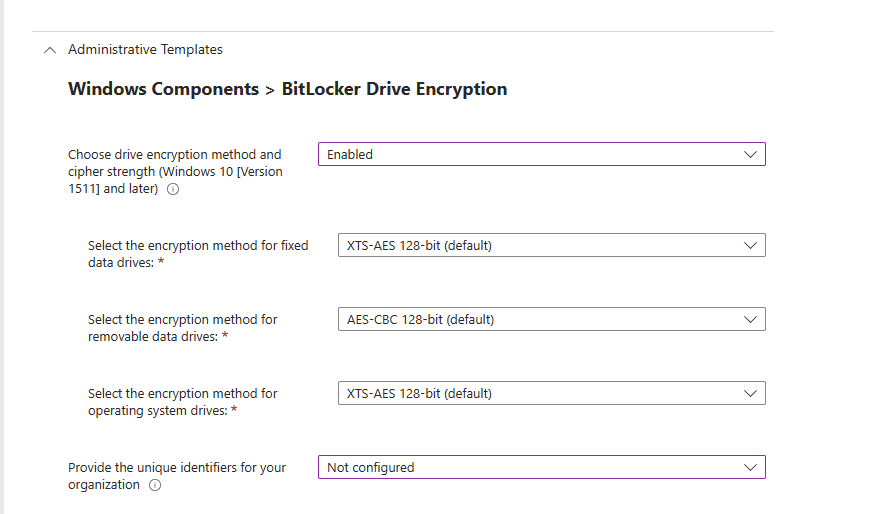 Administrative Templates: Windows Components BitLocker Drive Encryption 