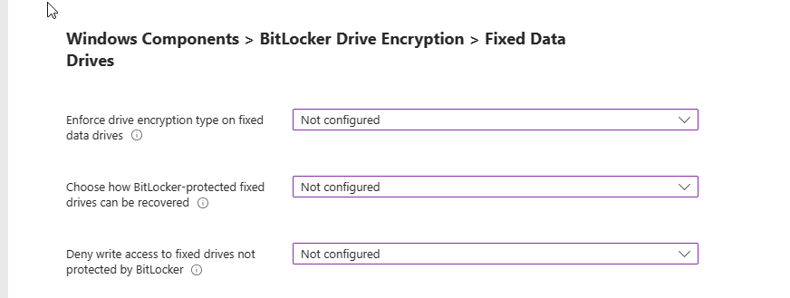 fixed data drives options