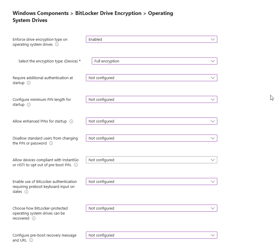 Administrative Templates: Windows Components BitLocker Drive Encryption > Operating System Drives settings