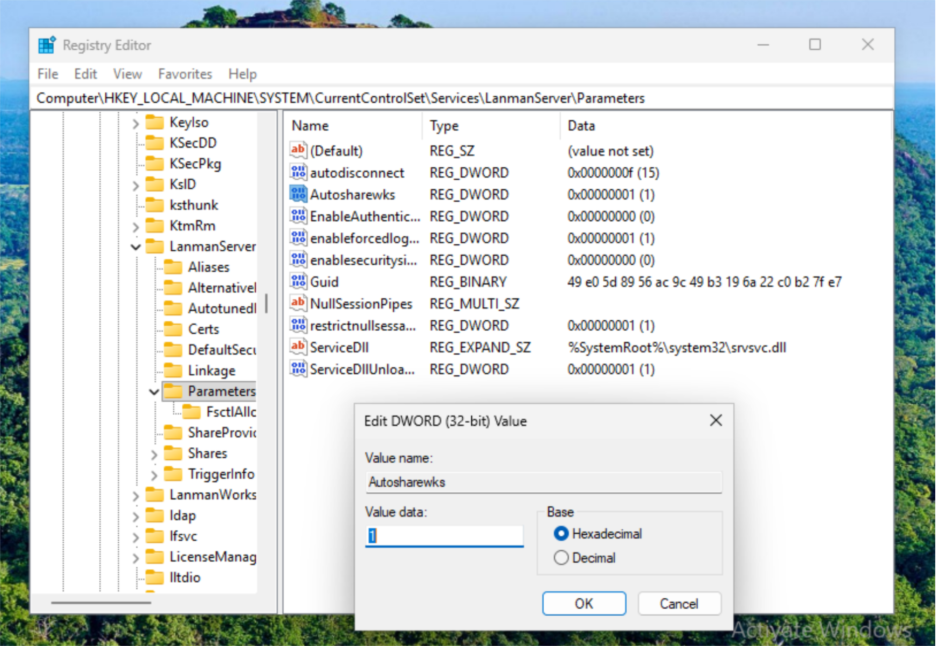 File Sharing for Entra-Joined Devices - AutoShareWks Registry Key
